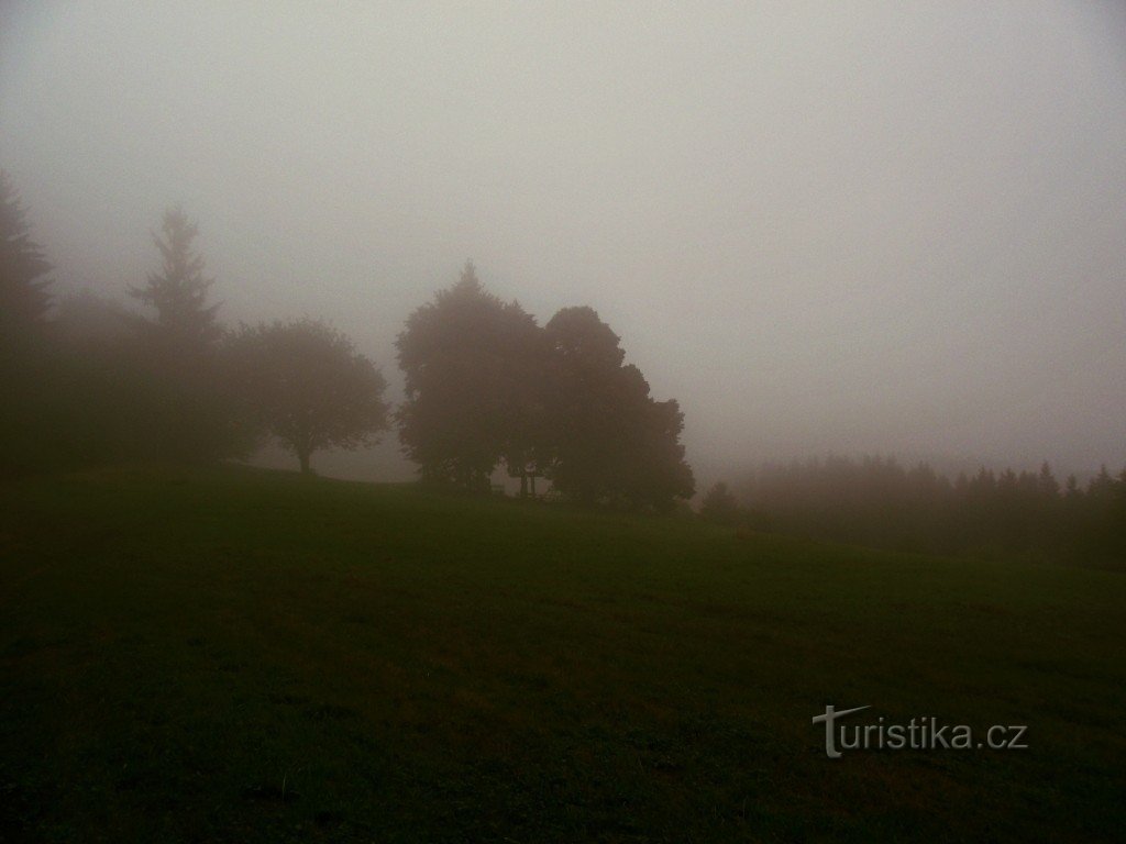 Vařák's glades