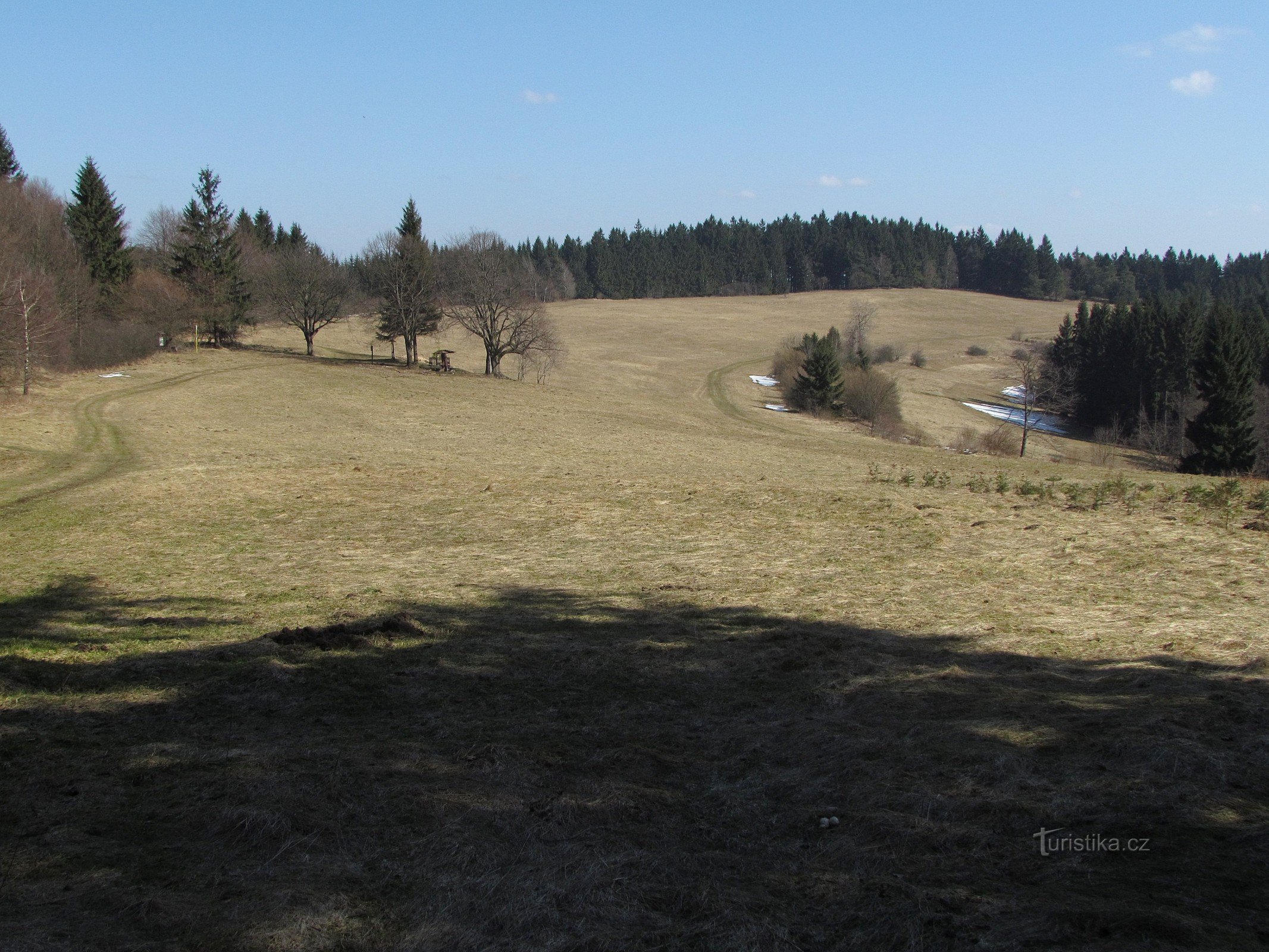 Vařákovy paseky a šafrán bělokvětý