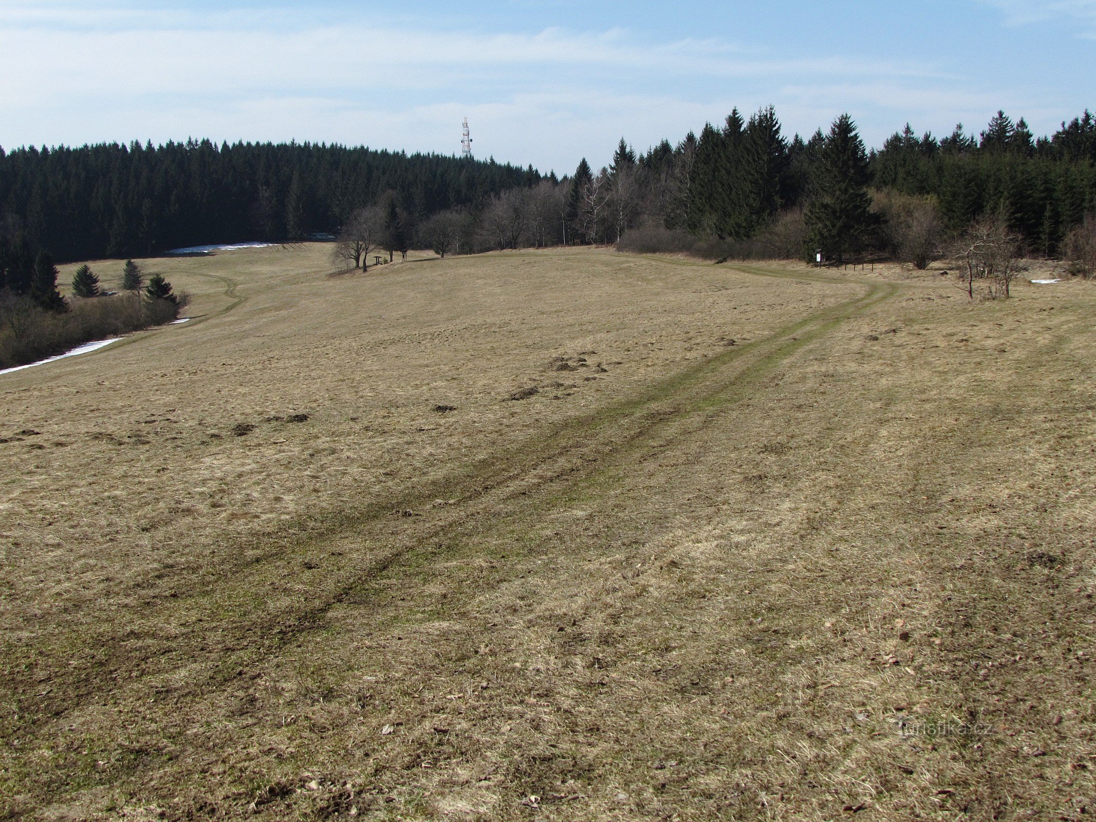 Radure di Vařák e zafferano a fiori bianchi