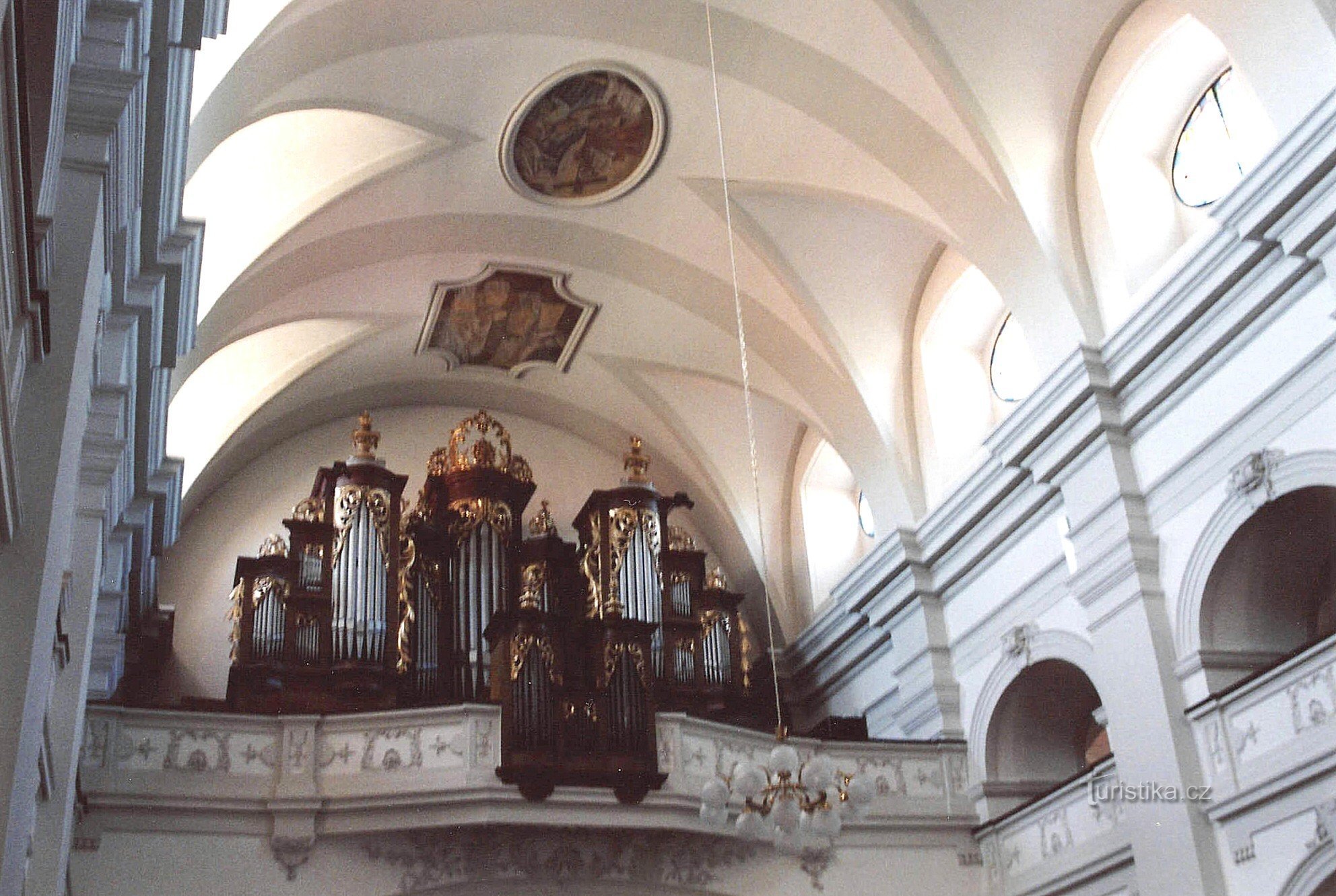 organ