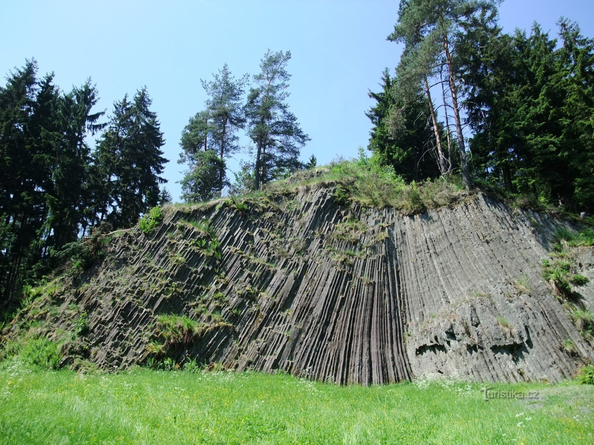 The organ near Rotava