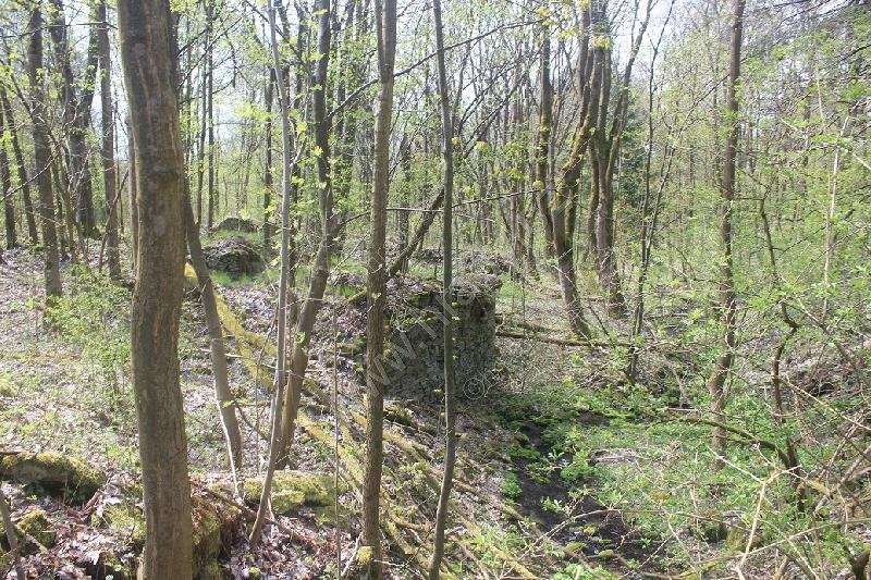 Varhošť (Haslicht, zaniklá ves)