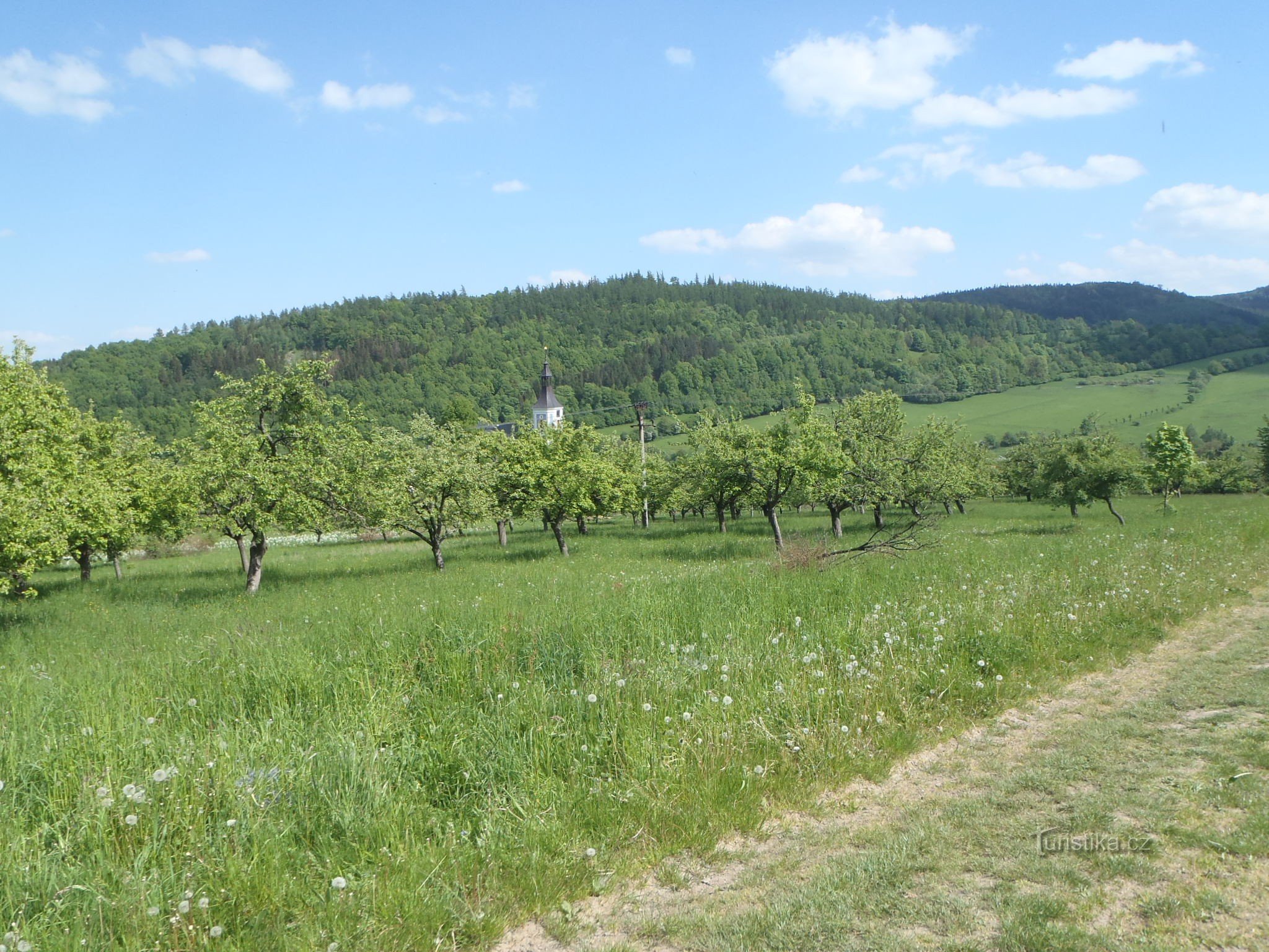 Lovorovo brdo, lijevo i Kup