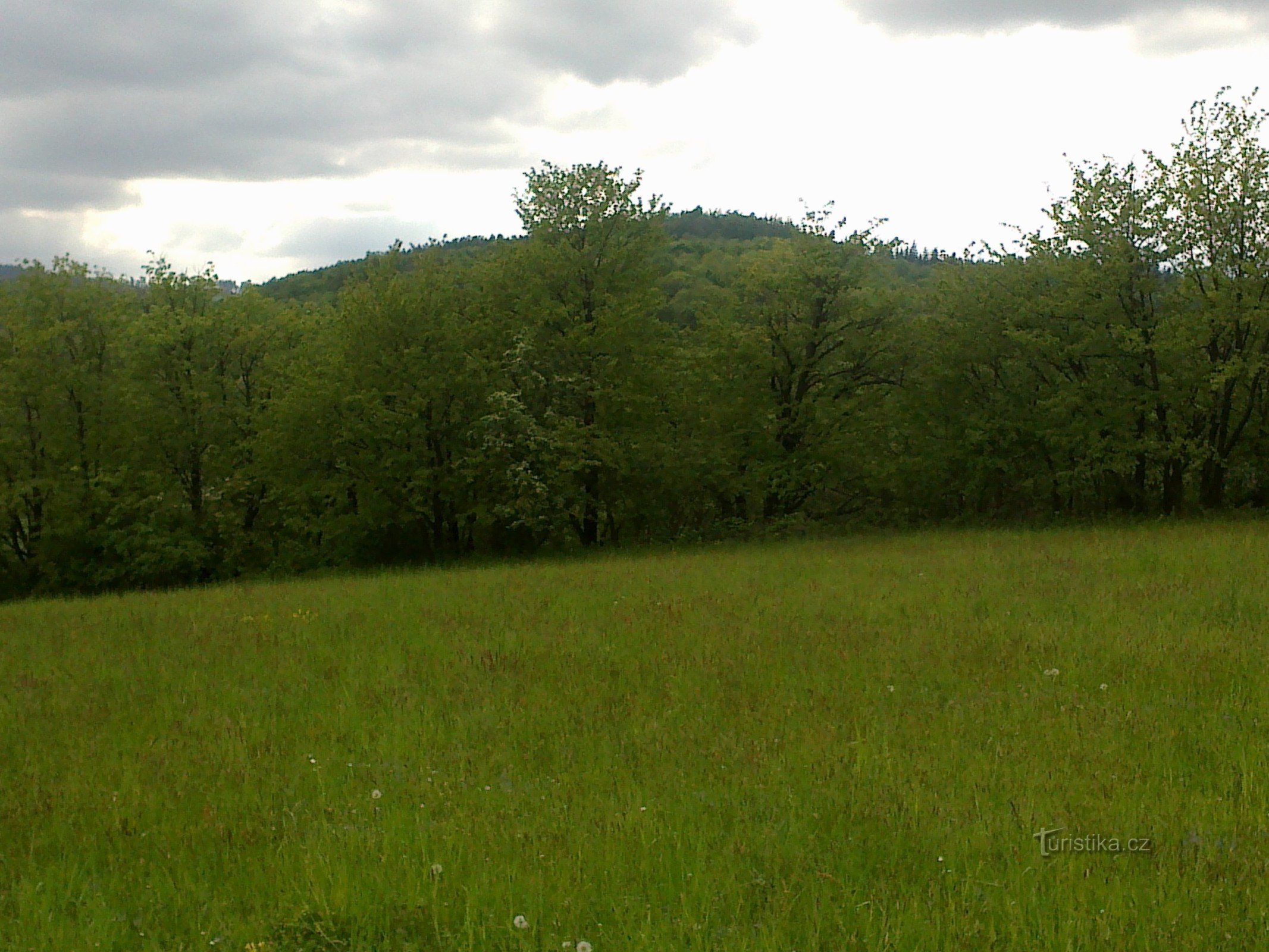 Laurel Hill from Lomná