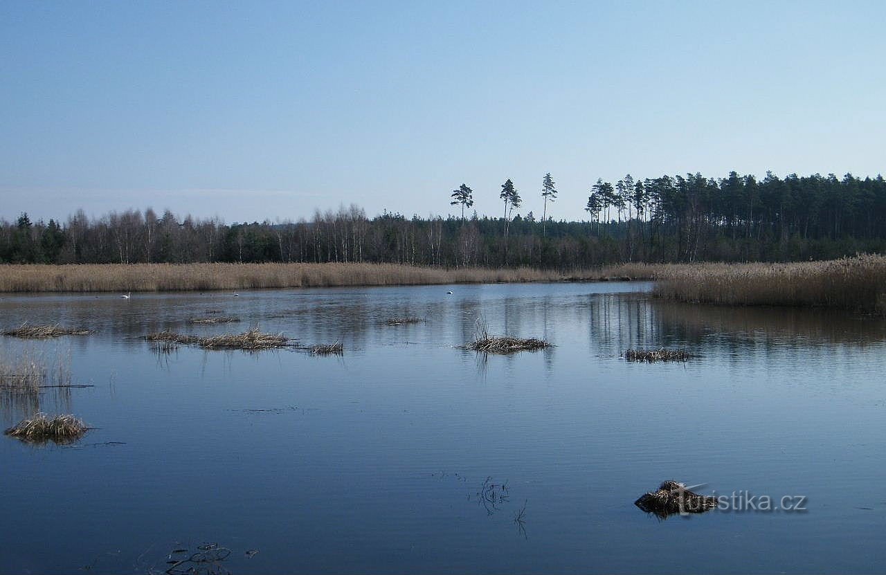 L'étang de Vavroušk