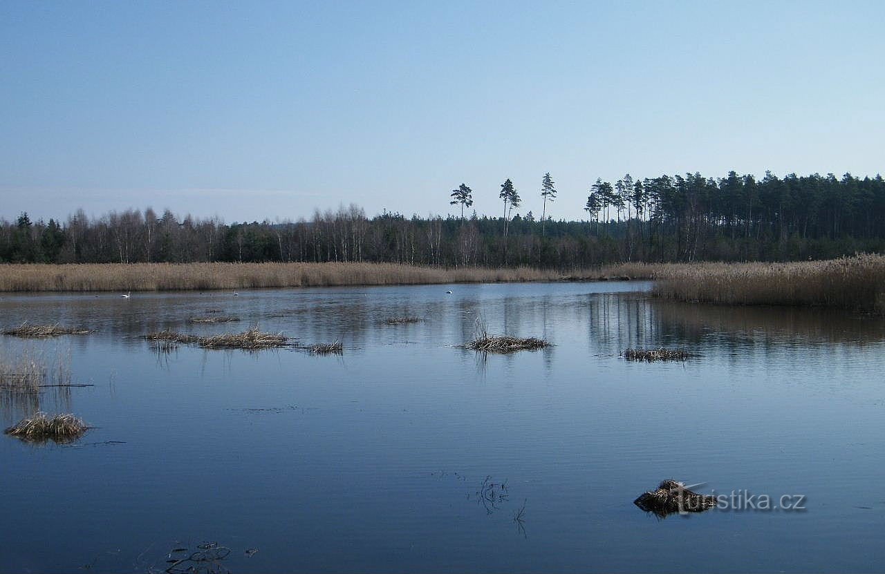 Vavrouškin lampi