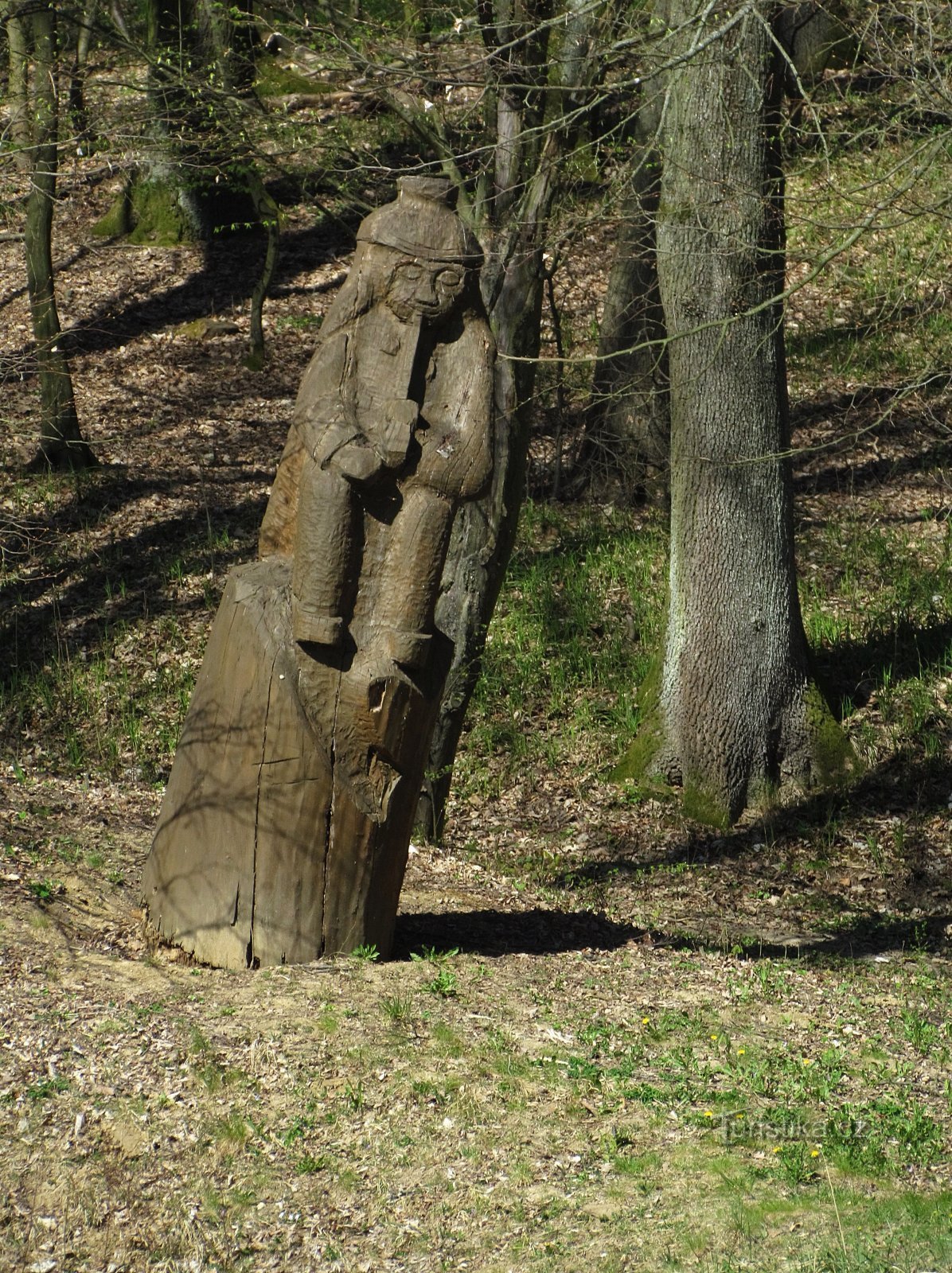 Vázany - forest pond