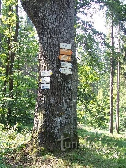 Château des Abeilles : Vue générale du panneau indicateur