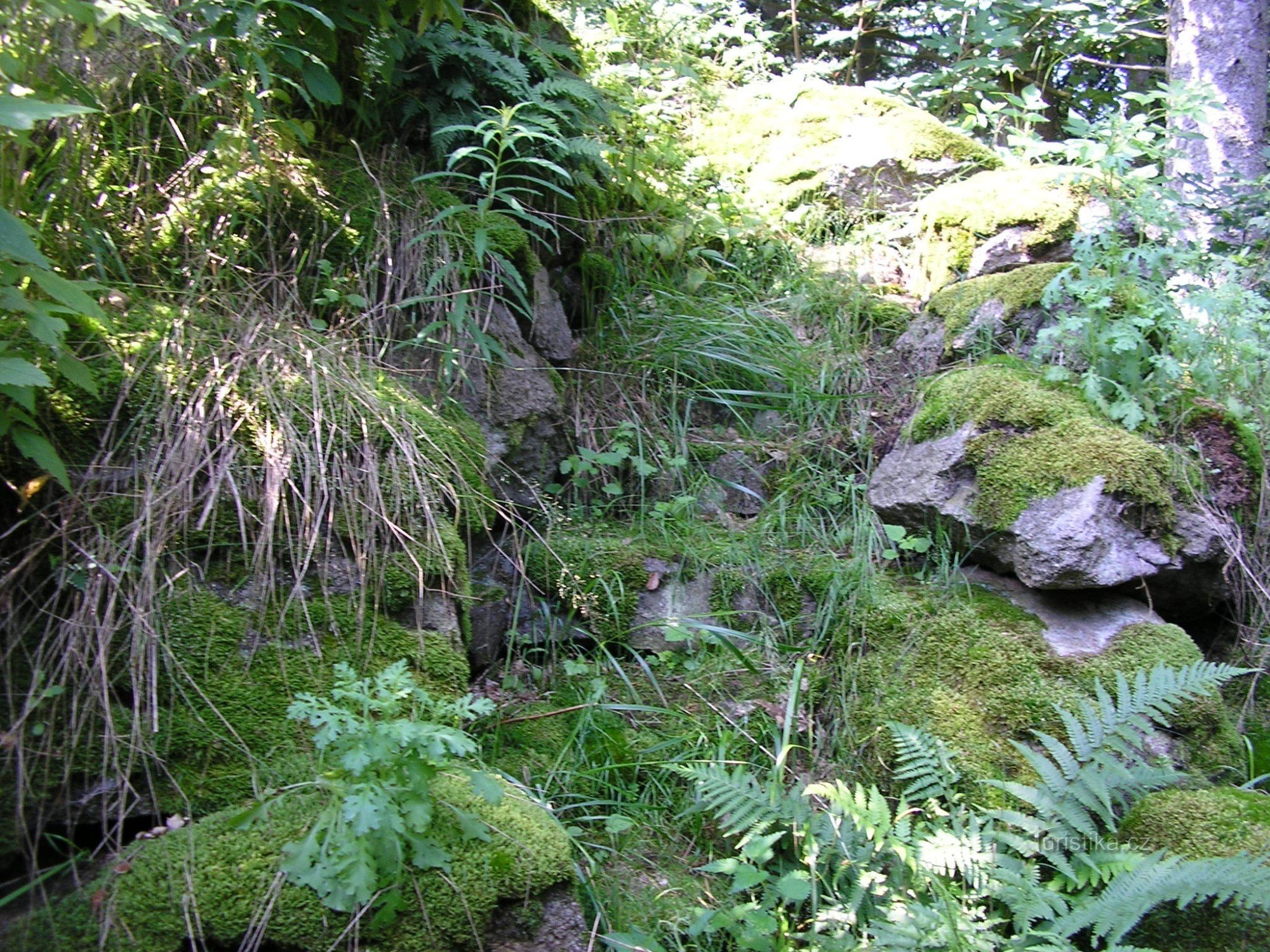 Eingang zur Keltenhöhle