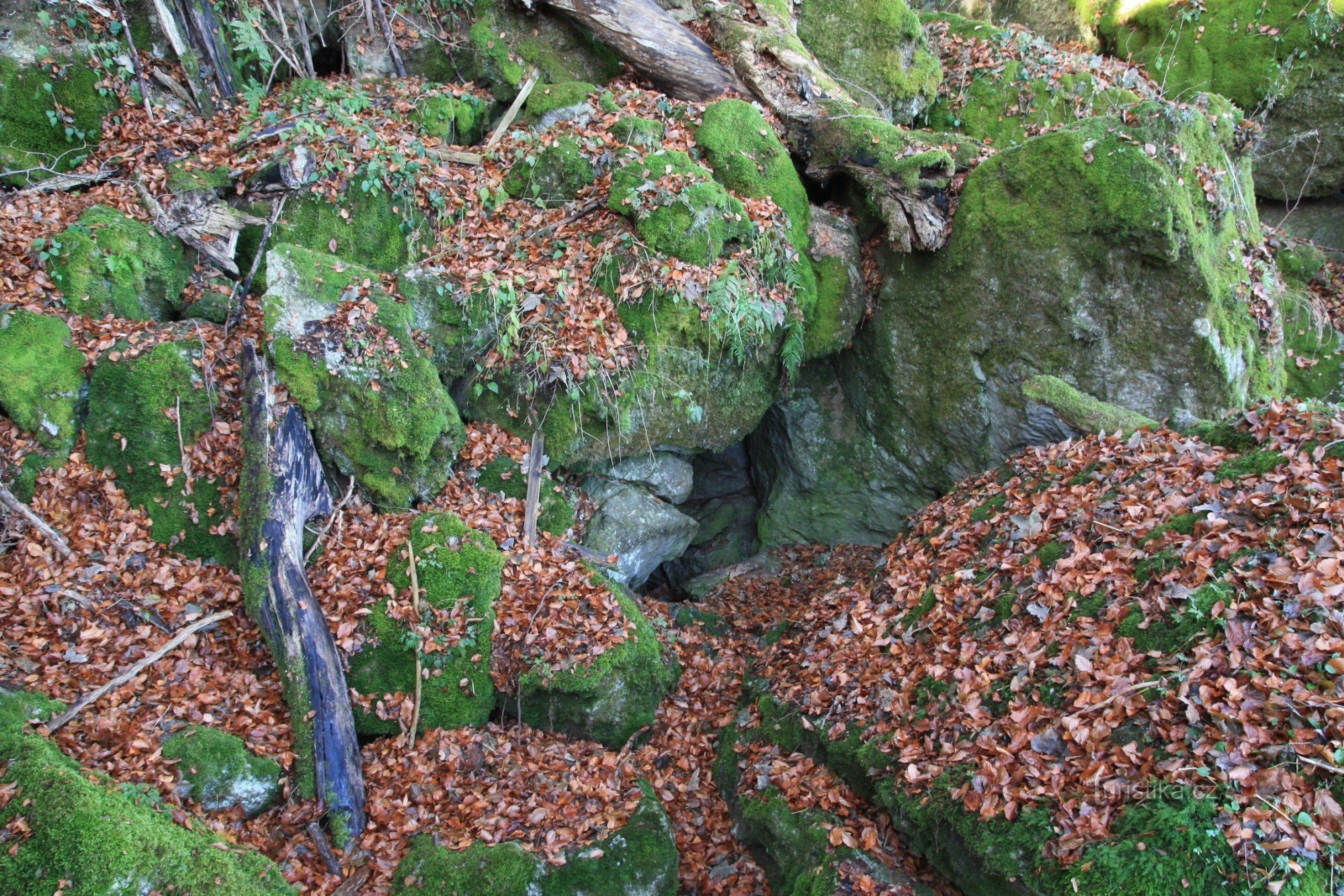 Entrada para a caverna abissal acima do mergulho