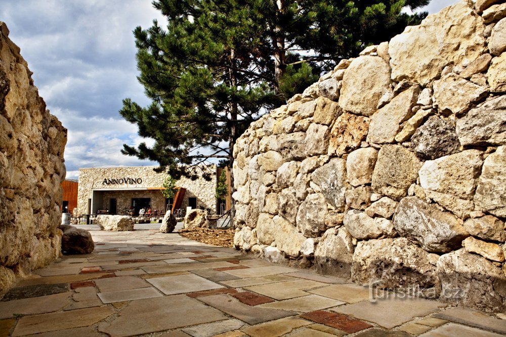 Entrada de piedra caliza de concha