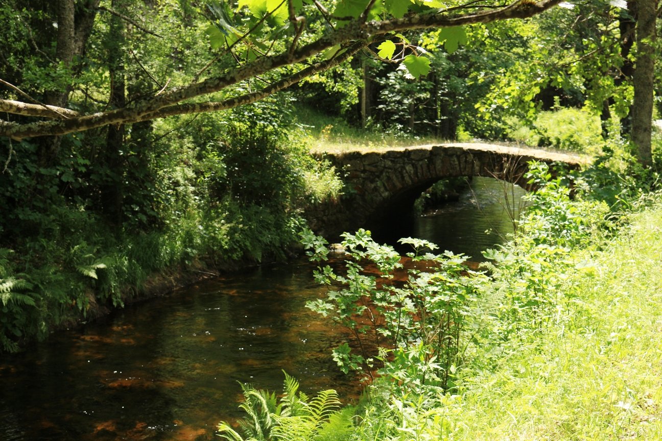 Canal Vchynica-Tetovsk