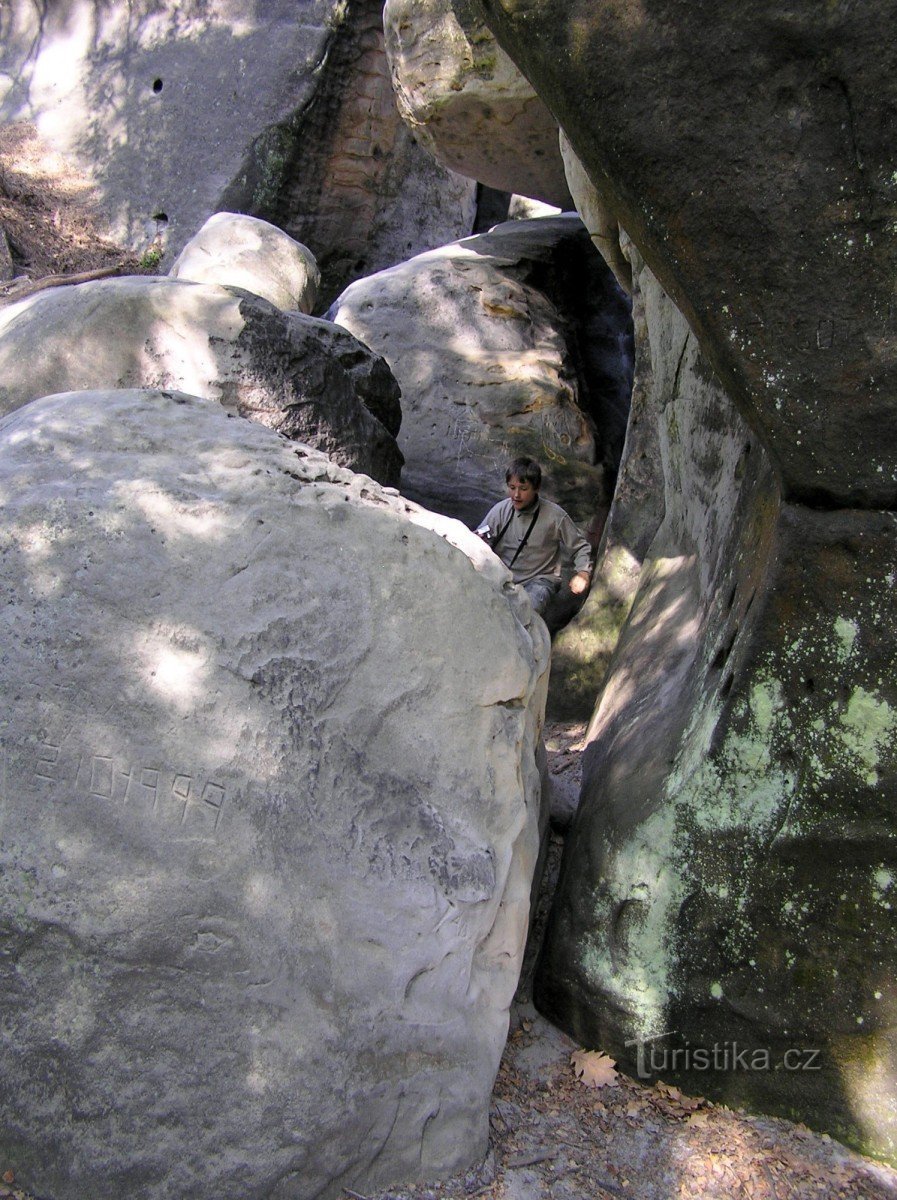 in the rocks