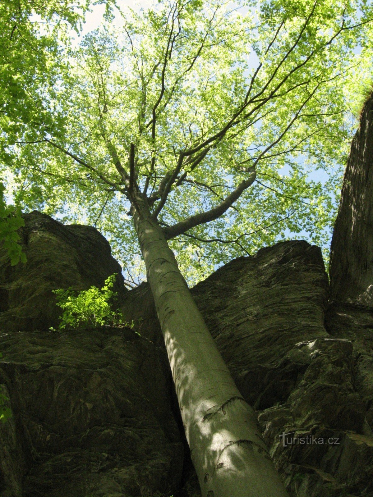 In den Felsen PP Pasák