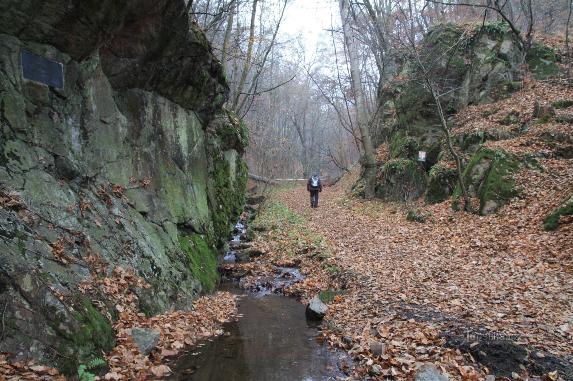 In the rocky gorge Mouse hole