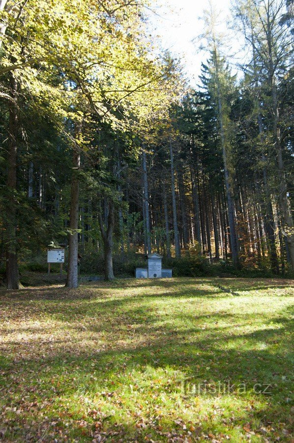 In Smetana orchards