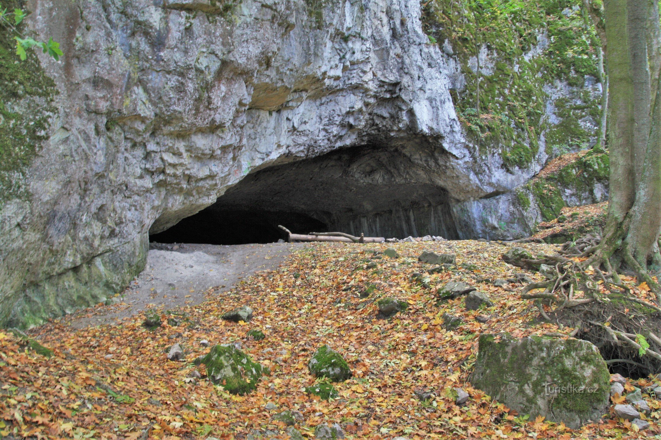 Am Abhang im Karstteil des Baches befindet sich auch die bekannte Pekárna-Höhle
