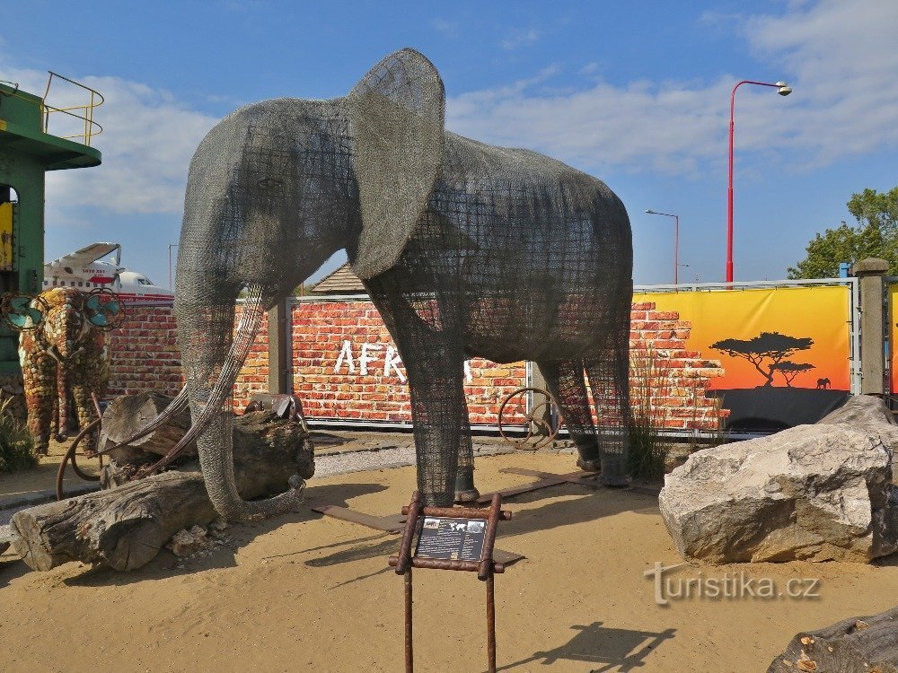 in the elephant enclosure