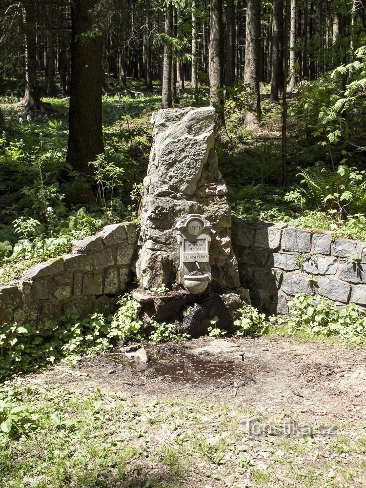 Fontaine du soir avec plaque et réservoir