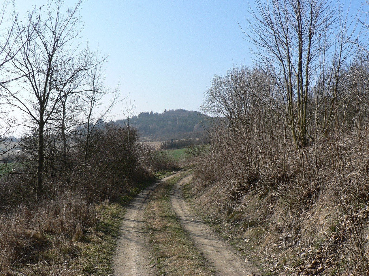 Veckovice, vedere la dealul Bezí