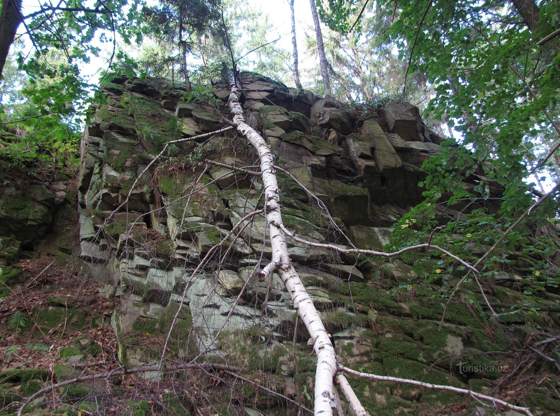 Fächerfelsen bei Nové Plána