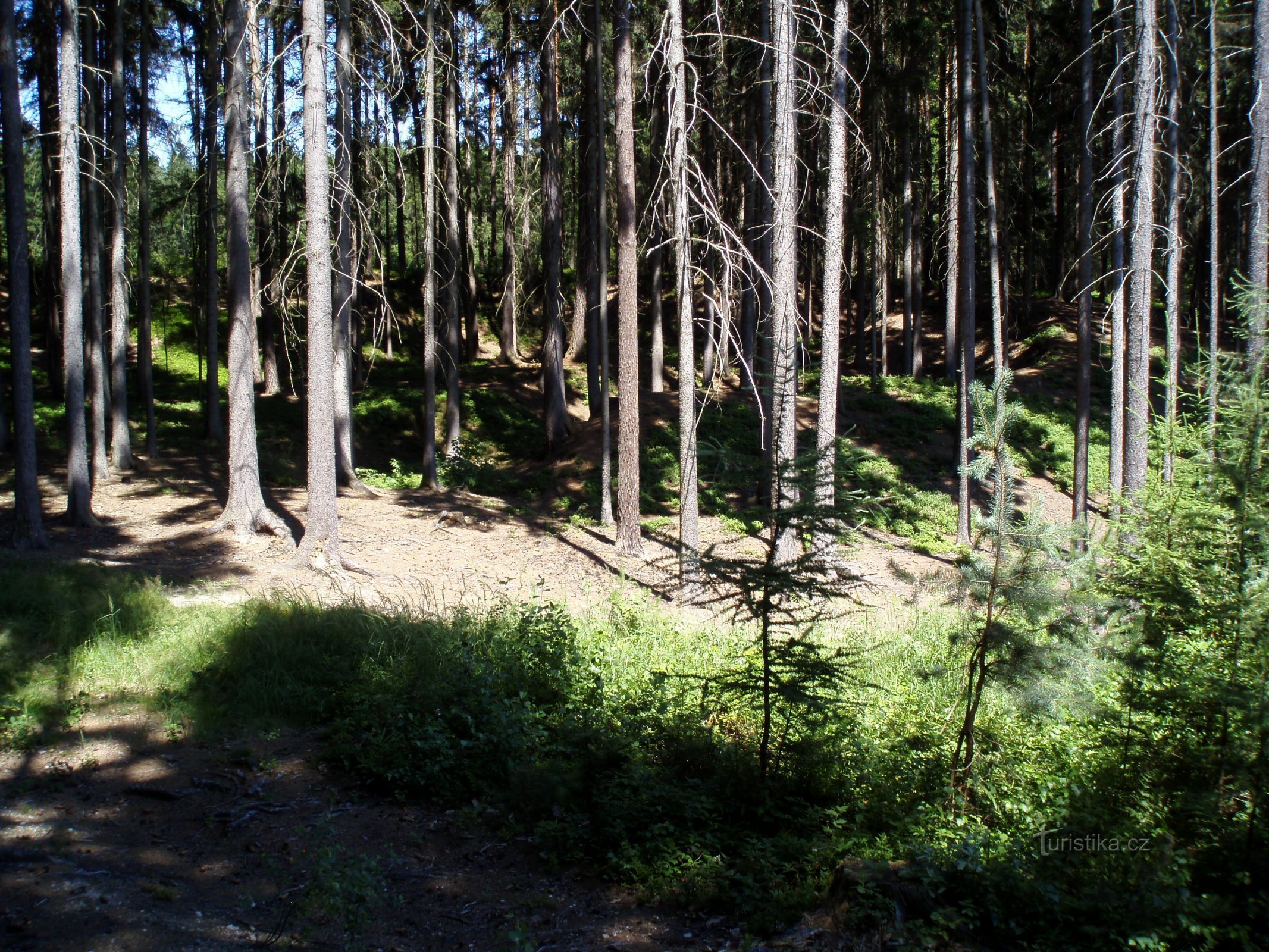 Vejroviny (Hořičky)