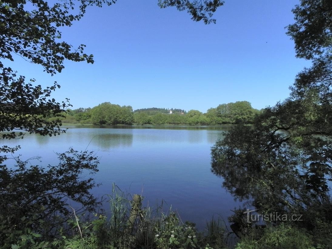 Velesický pond