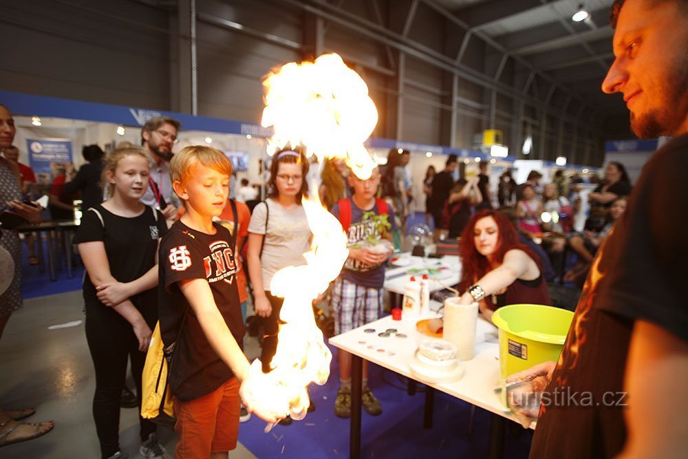 Feira de Ciências: 3 dias cheios de ciência, mais de 100 exposições e entrada gratuita!