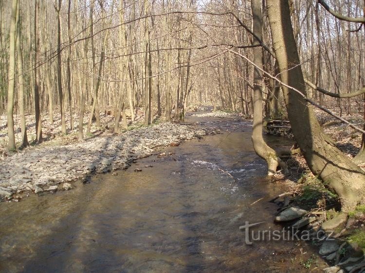 Величка біля млина Підлесне