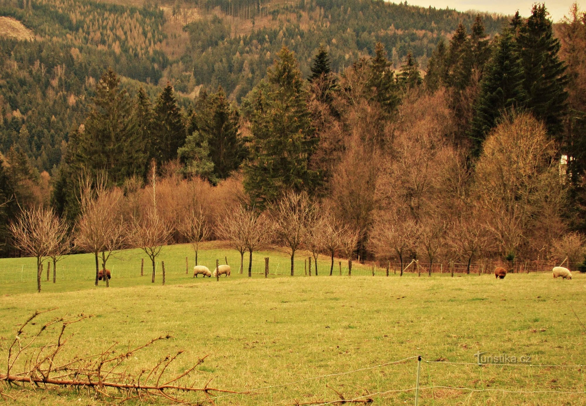 Paseo de Pascua en el pueblo de Držková cerca de Zlín