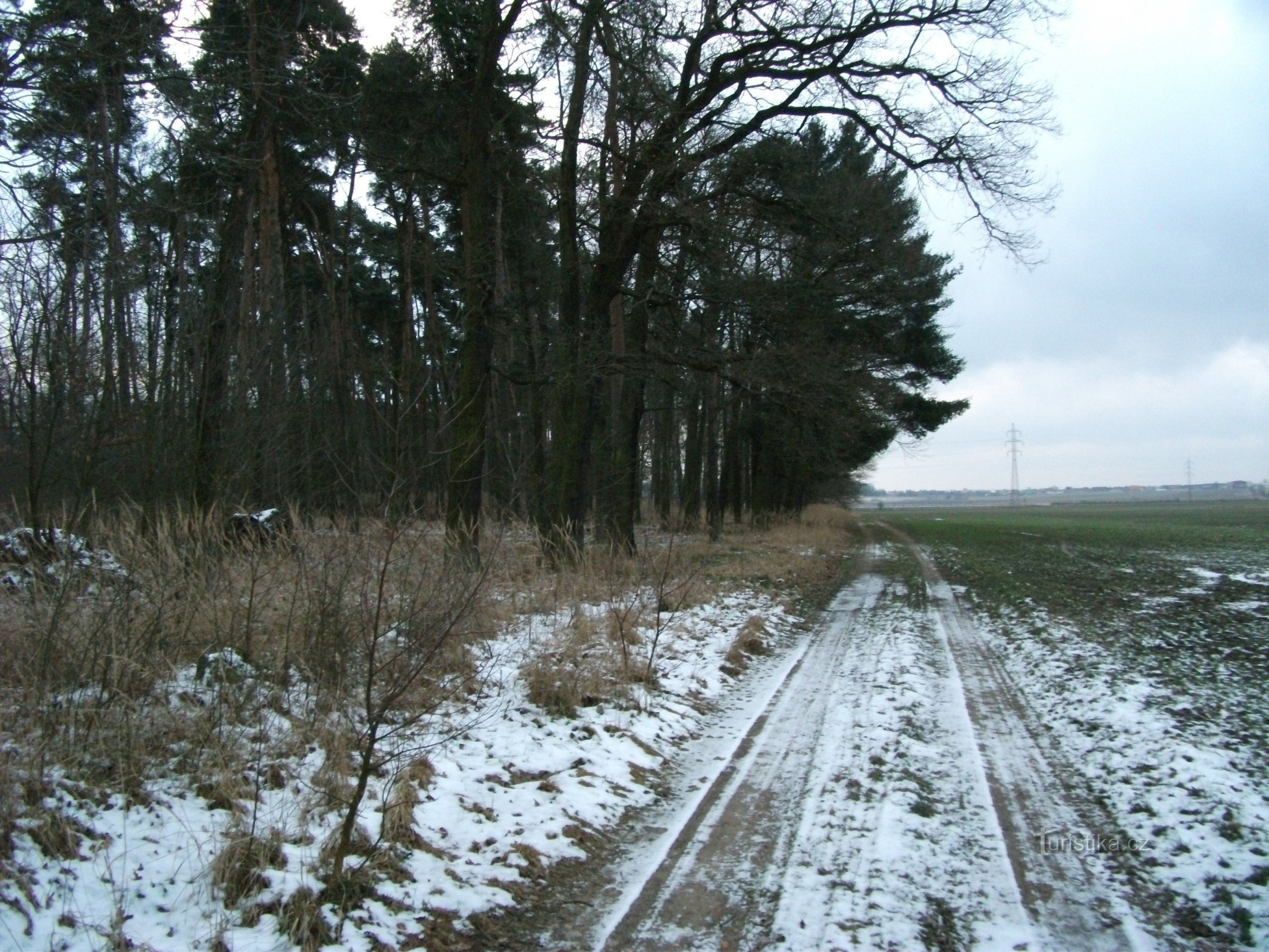 Velká Čeperka - ostrov