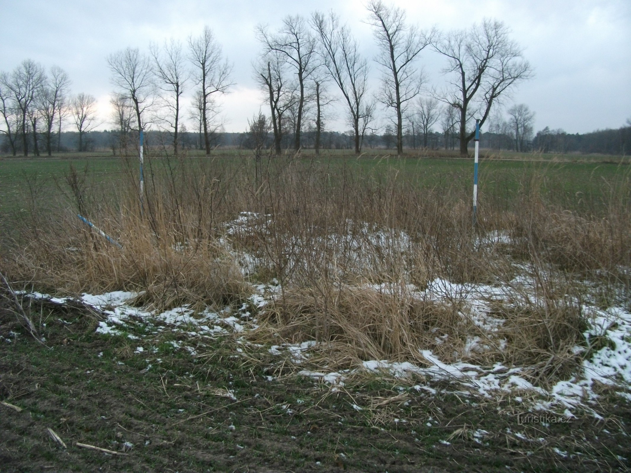 Velká Čeperka - insuliță