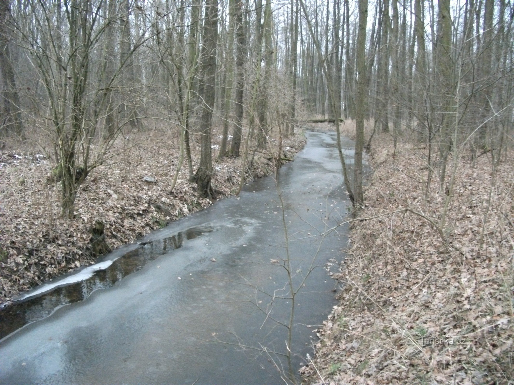 Velká Čeperka-Velká strouha