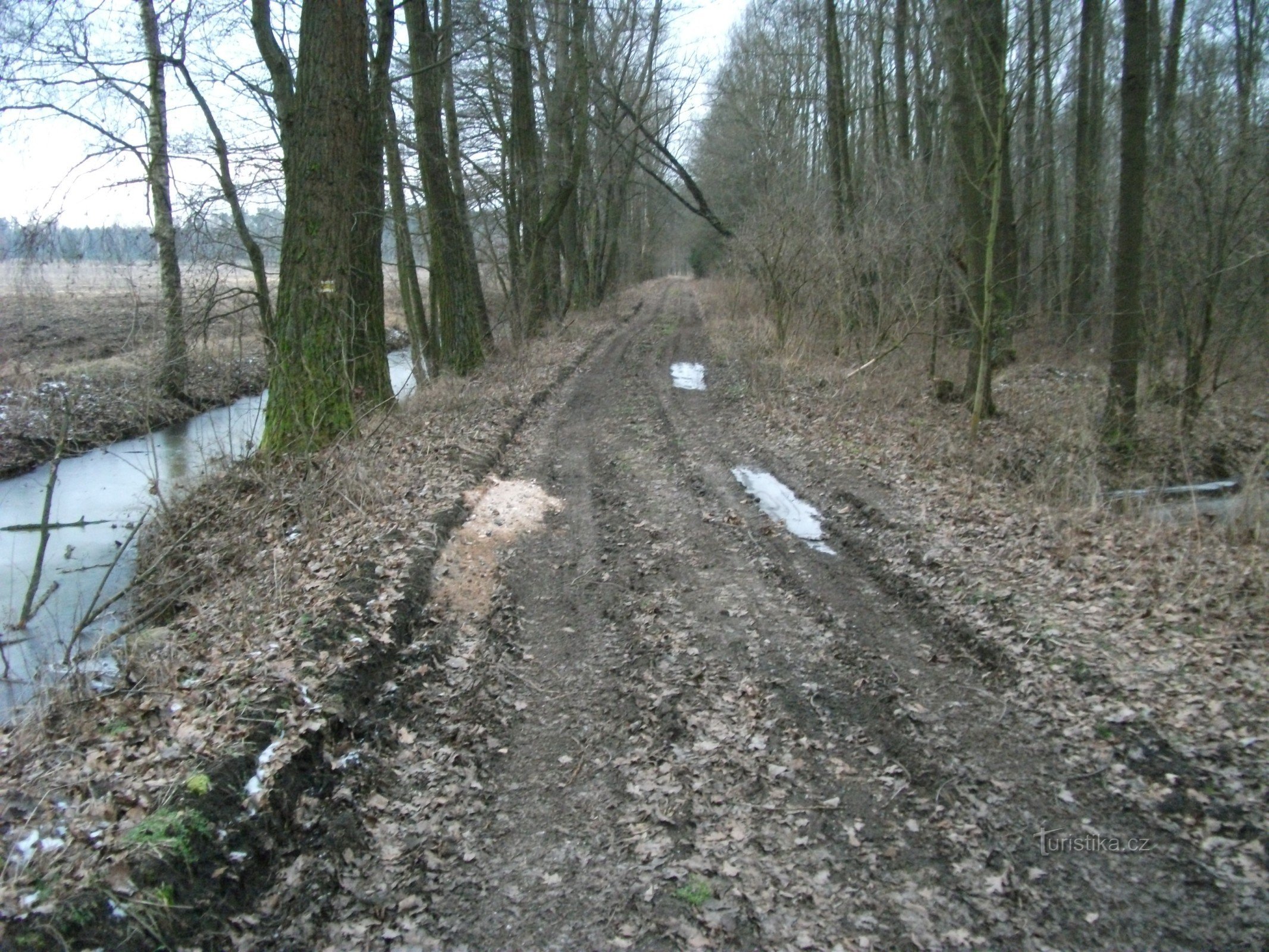 Velká čeperka-Velká strouha