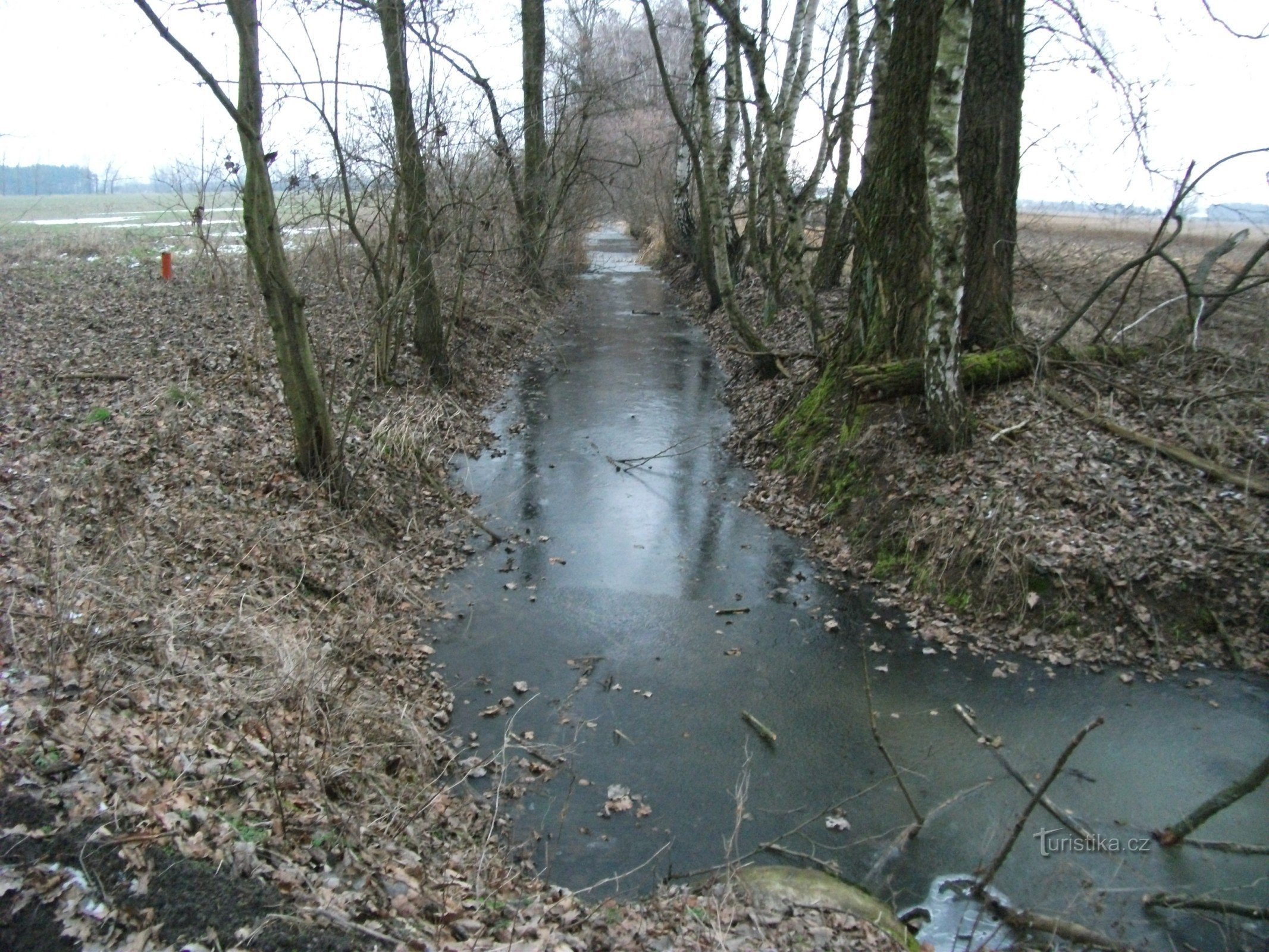 Velka čeperka-Velká strouha