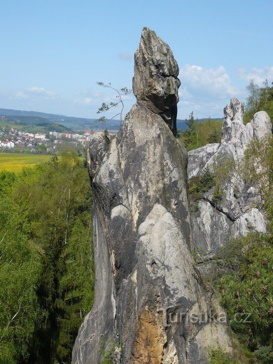 Groot kippenhok