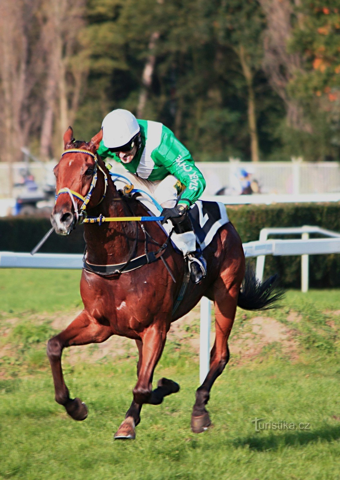 Velka Pardubice 12.10.2014