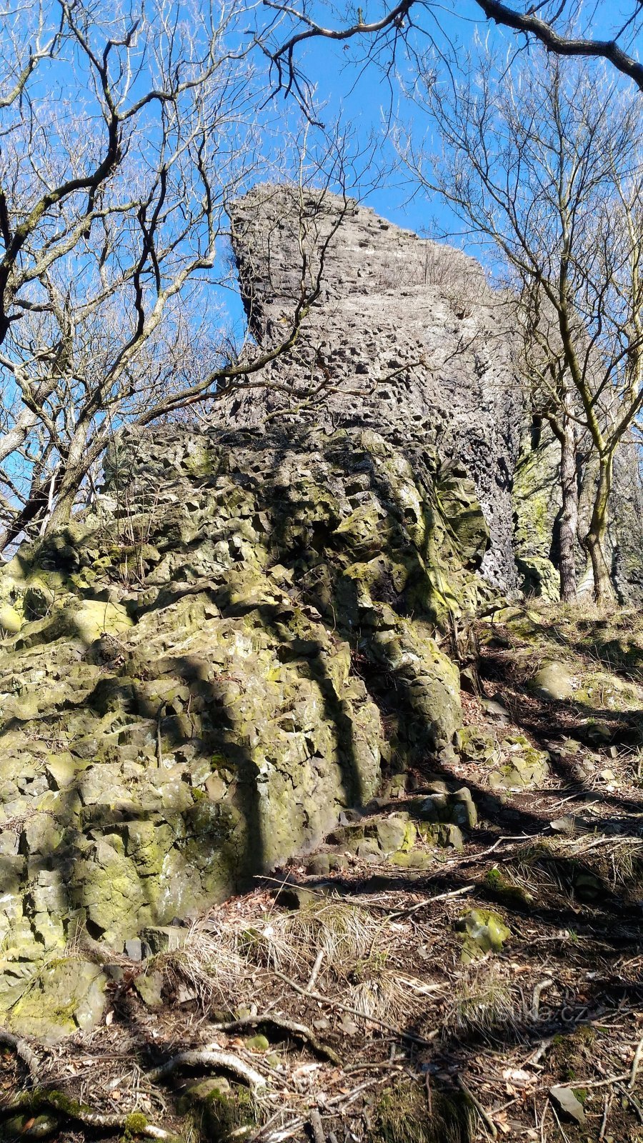 大きな岩