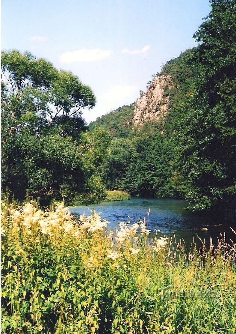 Velká skála - naturreservat