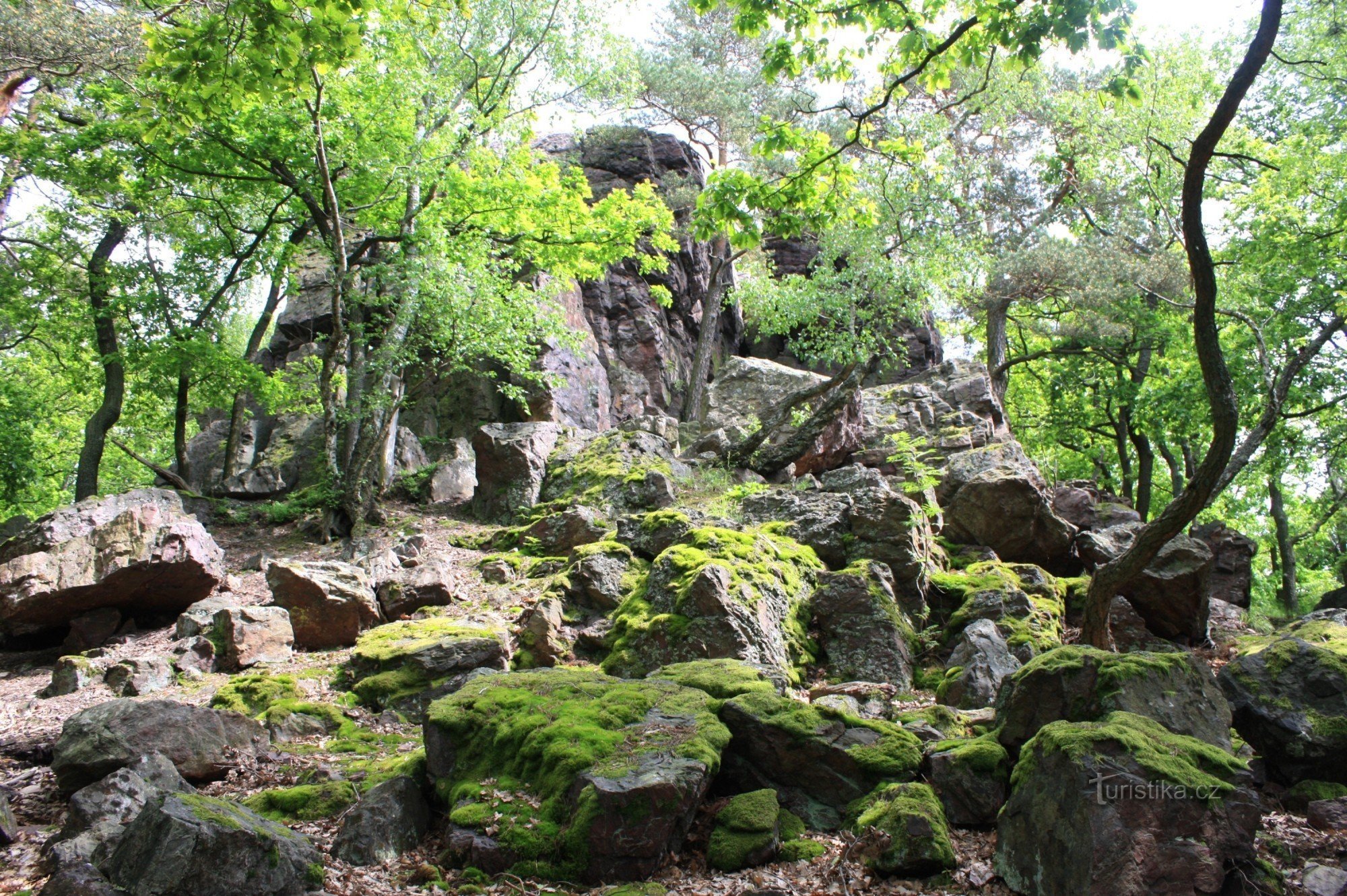 Veliko skalno - meliščasto pobočje z masivnim kamenjem