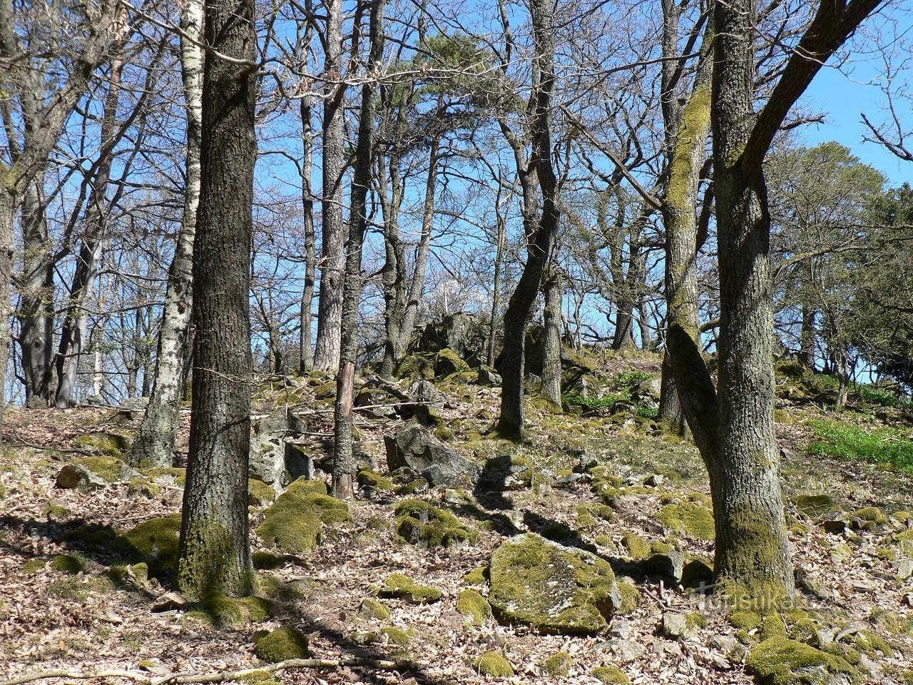 Stor sten, skråning under toppen