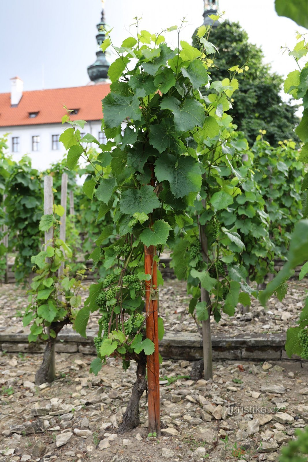 Le grand jardin de Strahov