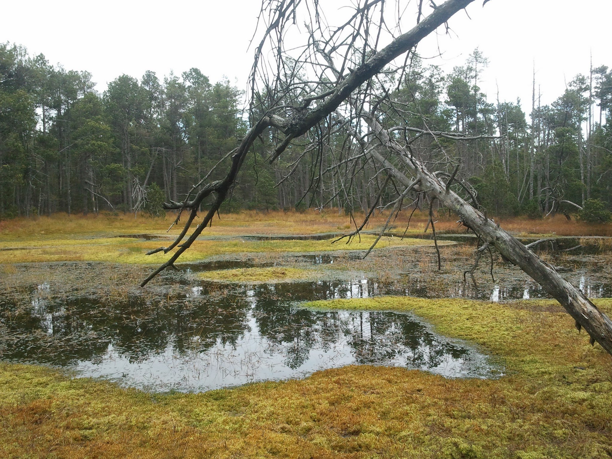 Velké a malé mechové jezírko