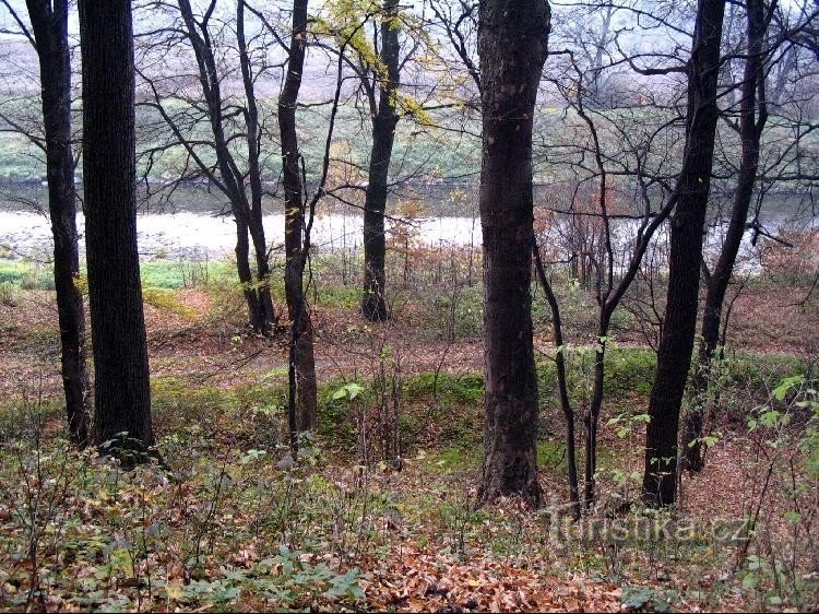 Velké doly: Blick von Velké doly auf den Fluss Olša