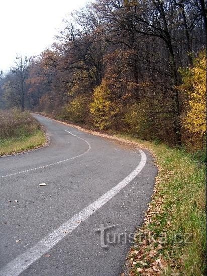 Velké doly: Vechiul drum dintre Třinec și Český Těšín, râul natural începe pe dreapta