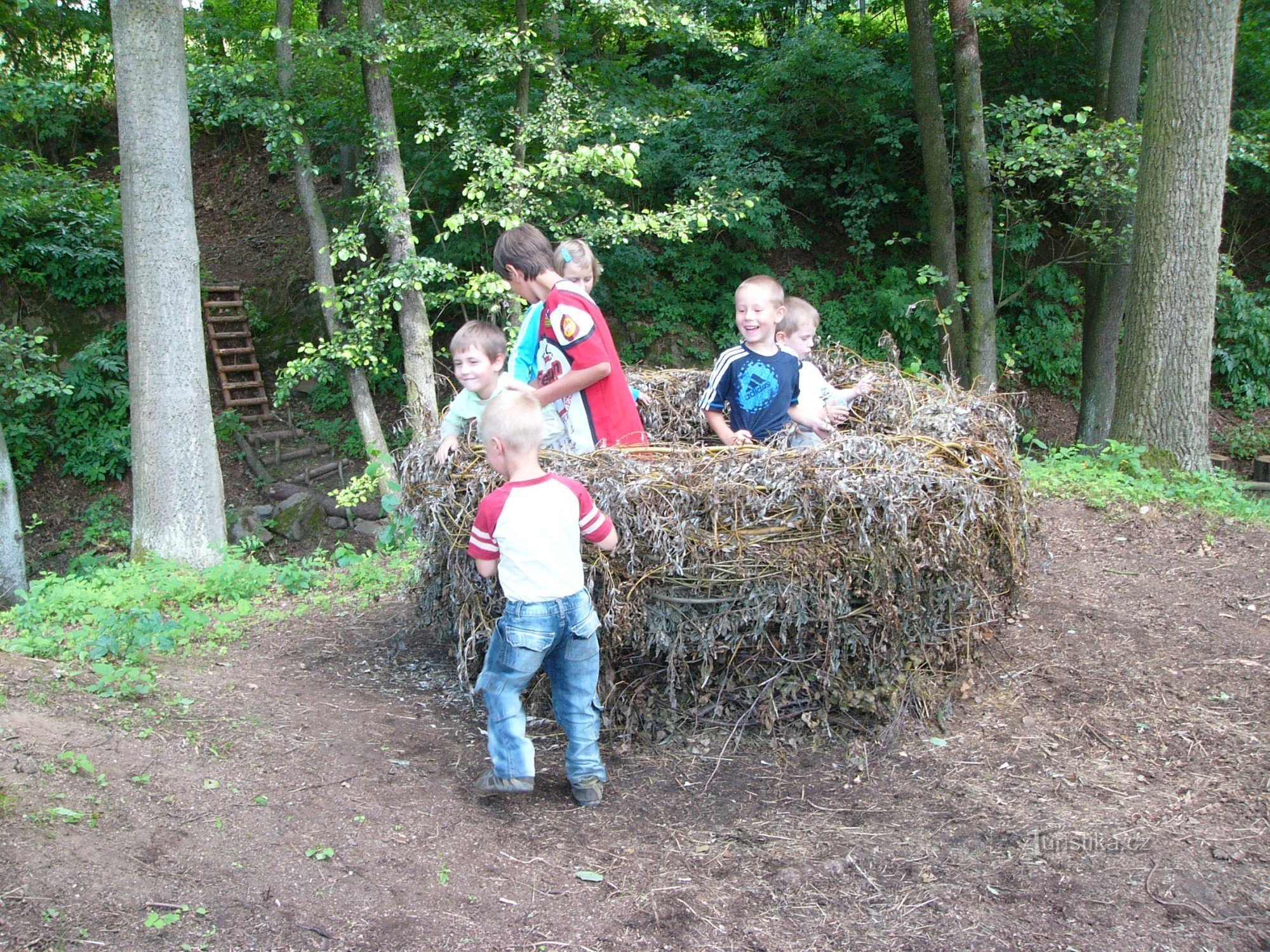 Ein großes Nest