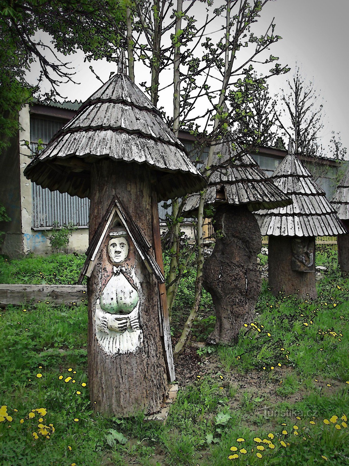 Velké Karlovice - tereny Muzeum Karlovskiego