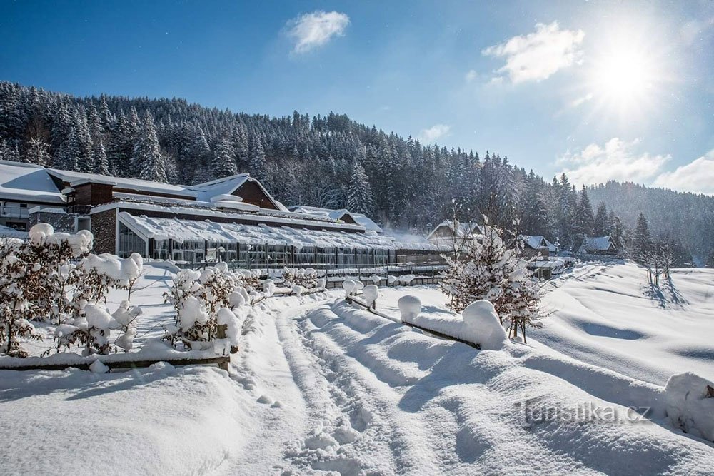 Velké Karlovice 即使没有高山滑雪也能享受冬季乐趣，其中数十人已被修饰