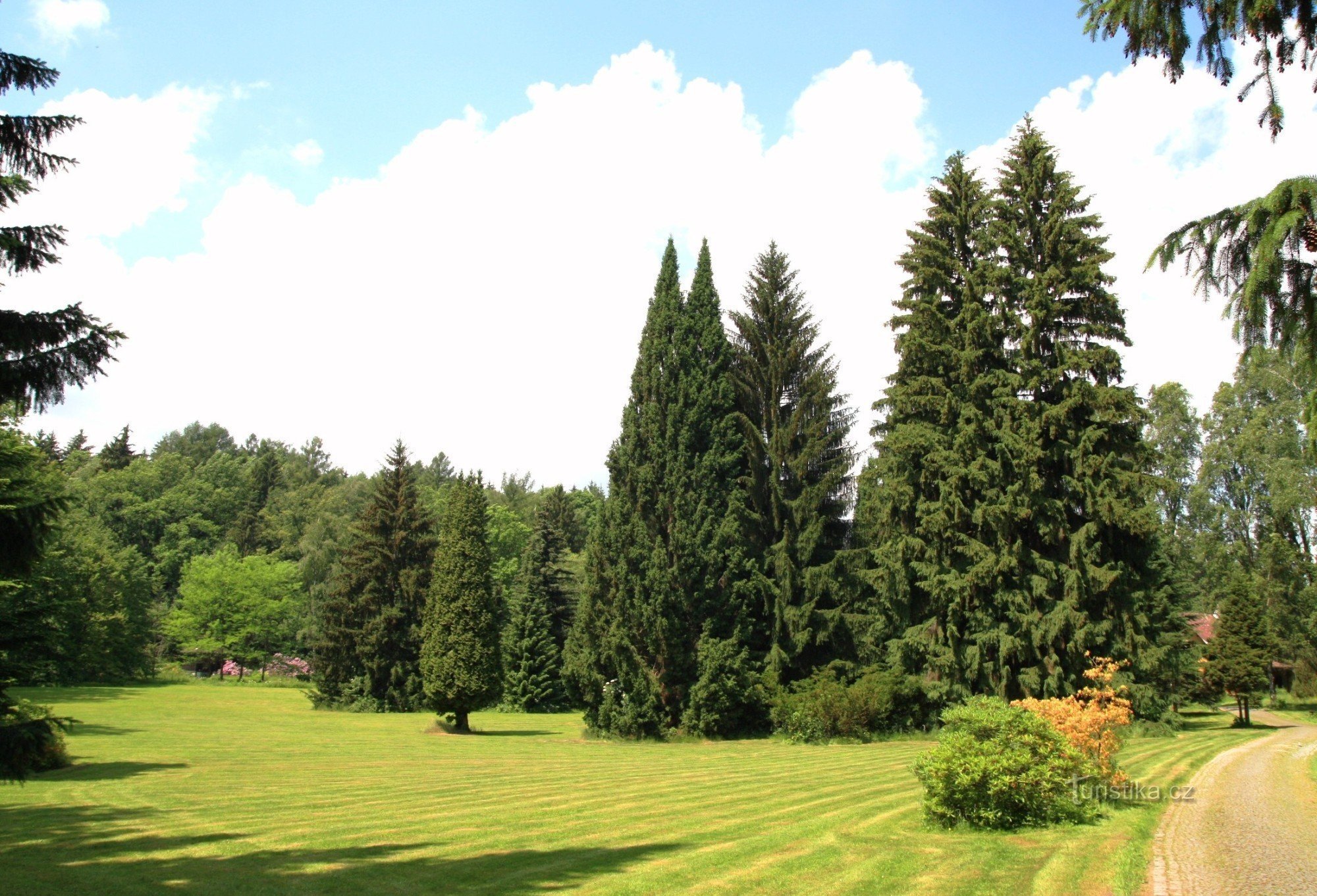 Velké Losiny - lázeňský park