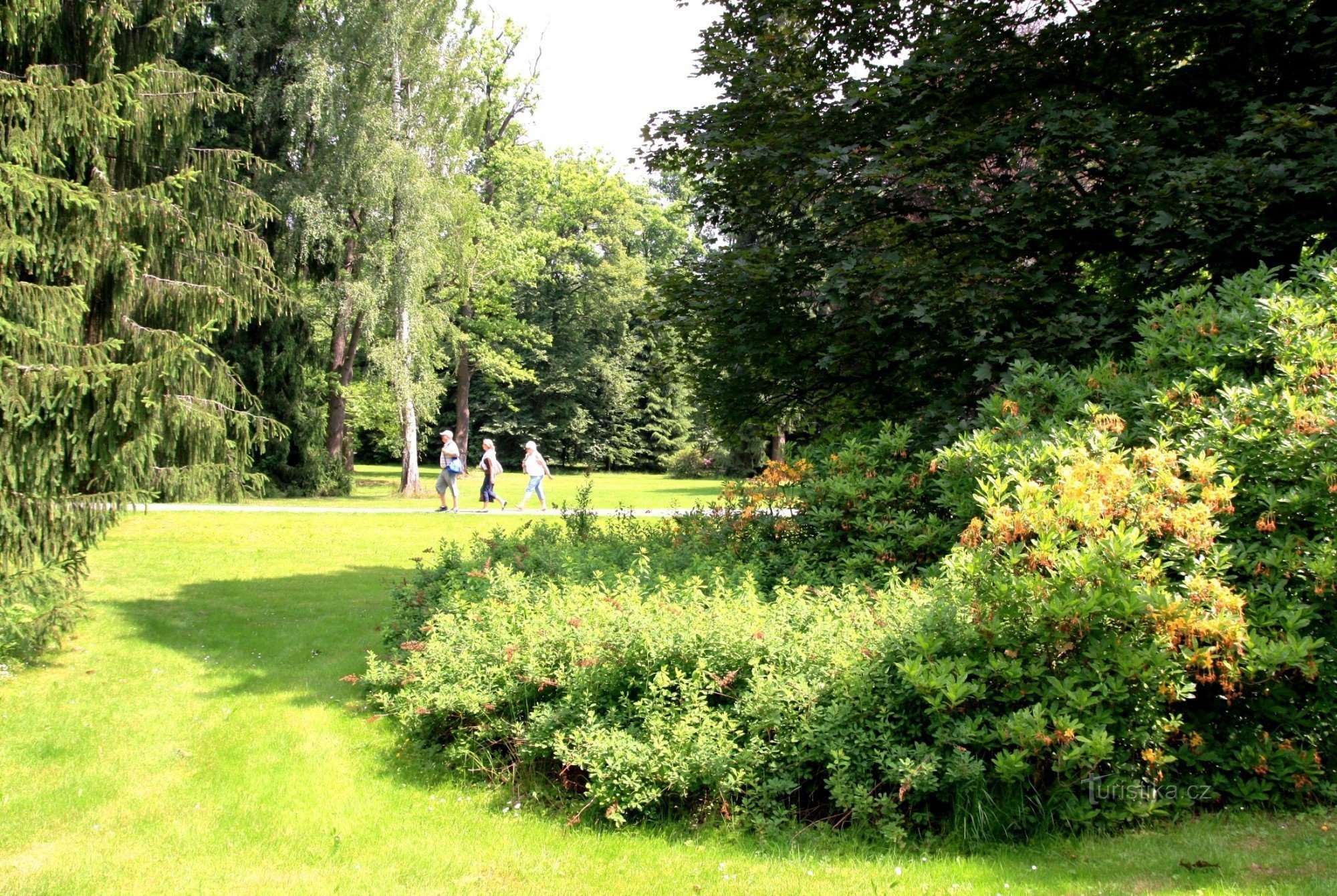 Velké Losiny - lječilišni park